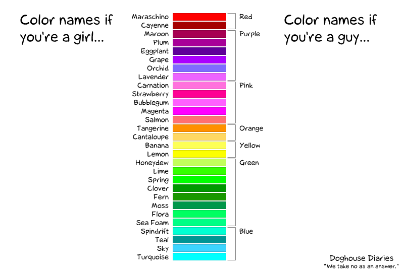 doghouse-diaries-color-stereotype.png