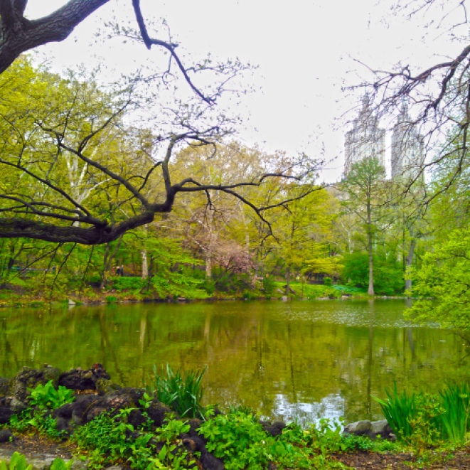Secluded cove near the Lake, Central Park © 2016. Maddy - The Gipsy Geek